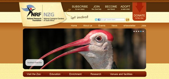 30个野生动物动物园和保护区网站设计案例